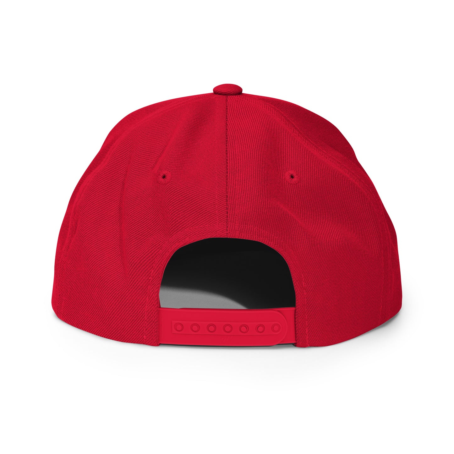 Pi Network Snapback Hat (stitched)